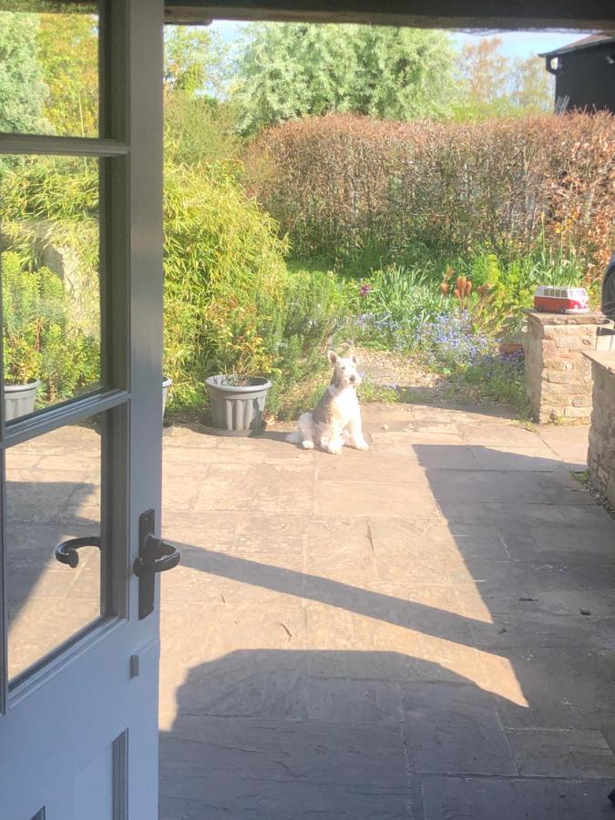 The Annexe At Walnut Tree Cottage Hope under Dinmore Extérieur photo